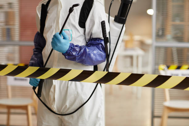 Professional Sewage Cleanup technician working in Milledgeville, OH